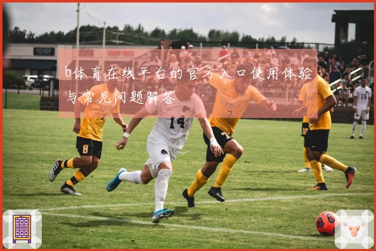 b体育在线平台的官方入口使用体验与常见问题解答