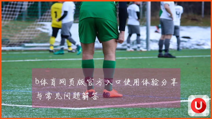 b体育网页版官方入口使用体验分享与常见问题解答