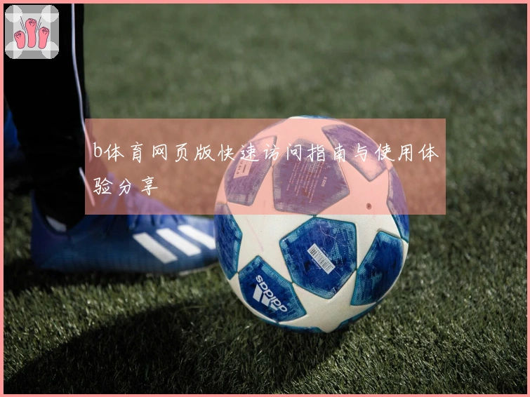 b体育网页版快速访问指南与使用体验分享