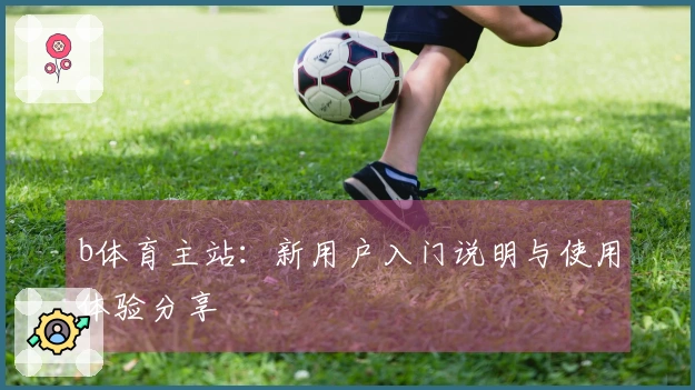 b体育主站：新用户入门说明与使用体验分享