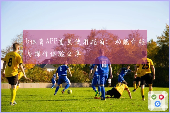 b体育APP首页使用指南：功能介绍与操作体验分享