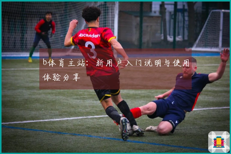 b体育主站：新用户入门说明与使用体验分享